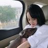 80后养猪人头像