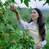 小芝麻🌾头像