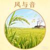 风与音头像