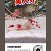 pinsheng头像