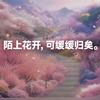 湖畔的竹子头像
