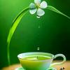 一滴清茶头像