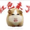 一只神秘的猪妞（大金主理人）头像