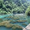 南山马头像