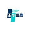王华追剧头像