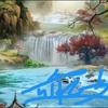 鑫鑫购物头像