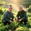 祁阳小武哥头像