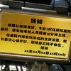 自由之翼头像