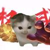 喵大力meme头像