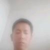 兔兔头像