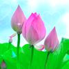 老实兄翻册法号静行头像