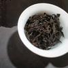 看人识茶头像
