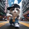 星仔的拉货日常头像