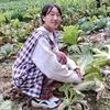 农村宝妈  幺香头像