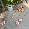云子的头像