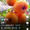 东方日出在晨曦头像
