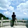君子兰头像