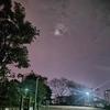 秋蝉吟雨头像