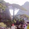龙埂村夫头像