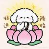 丑美妈头像
