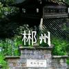 黄琚野头像