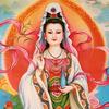 guojiayifenzi头像