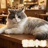 萌喵治愈小馆🐱头像