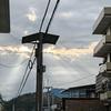 山区-小狮子头像
