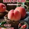 我是单身家庭贫困户头像
