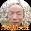 川熊猫儿头像