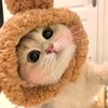 小鱼崽🐈头像