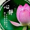 静头像