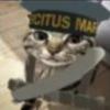 Cetus Cat头像