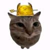 猫meme皇权头像