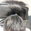疯人院里的狂言狂语头像