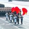 秦巴兵哥头像
