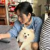 陈皮姐瑶瑶头像