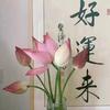 摆烂小鱼【好物测评】头像