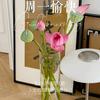小羽减肥(碎碎念念日常）头像