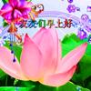 汉山樵哥头像