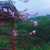 隐居深山生活头像