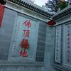 随缘堂头像
