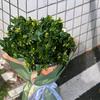 小清醒头像