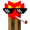 Minecraft_阳精蓄瑞头像