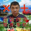 青蔼商务劳务头像