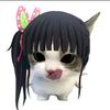 「ℳ๓小奈♬头像
