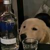 狼牙獠牙头像