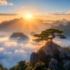 清和·端阳头像