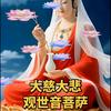代兴菊头像