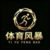 体育风暴头像